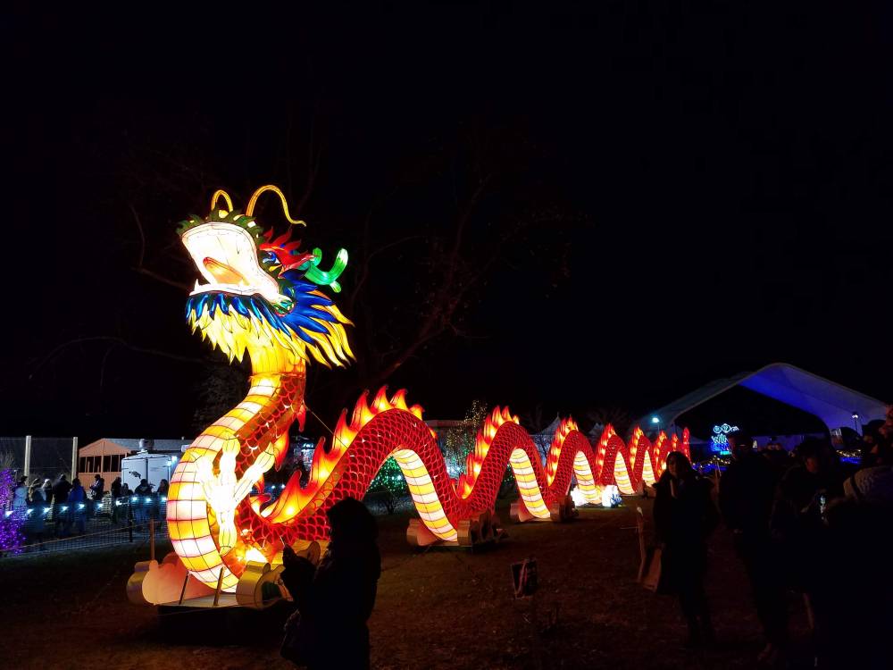 Lantern Festival Dragon